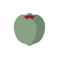 Cotoneaster