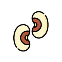 Cowpea