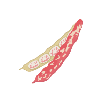 Cowpea