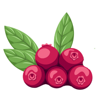Cranberry