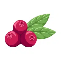 Cranberry