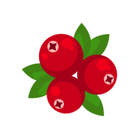 Cranberry