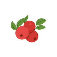 Cranberry