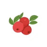 Cranberry