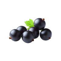 Currant