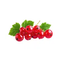 Currant