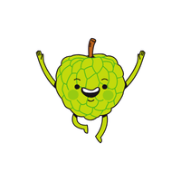Custard Apple