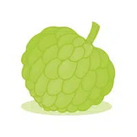 Custardapple
