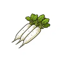 Daikon