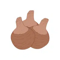 Dasheen