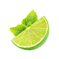 Desertlime