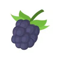 Dewberry