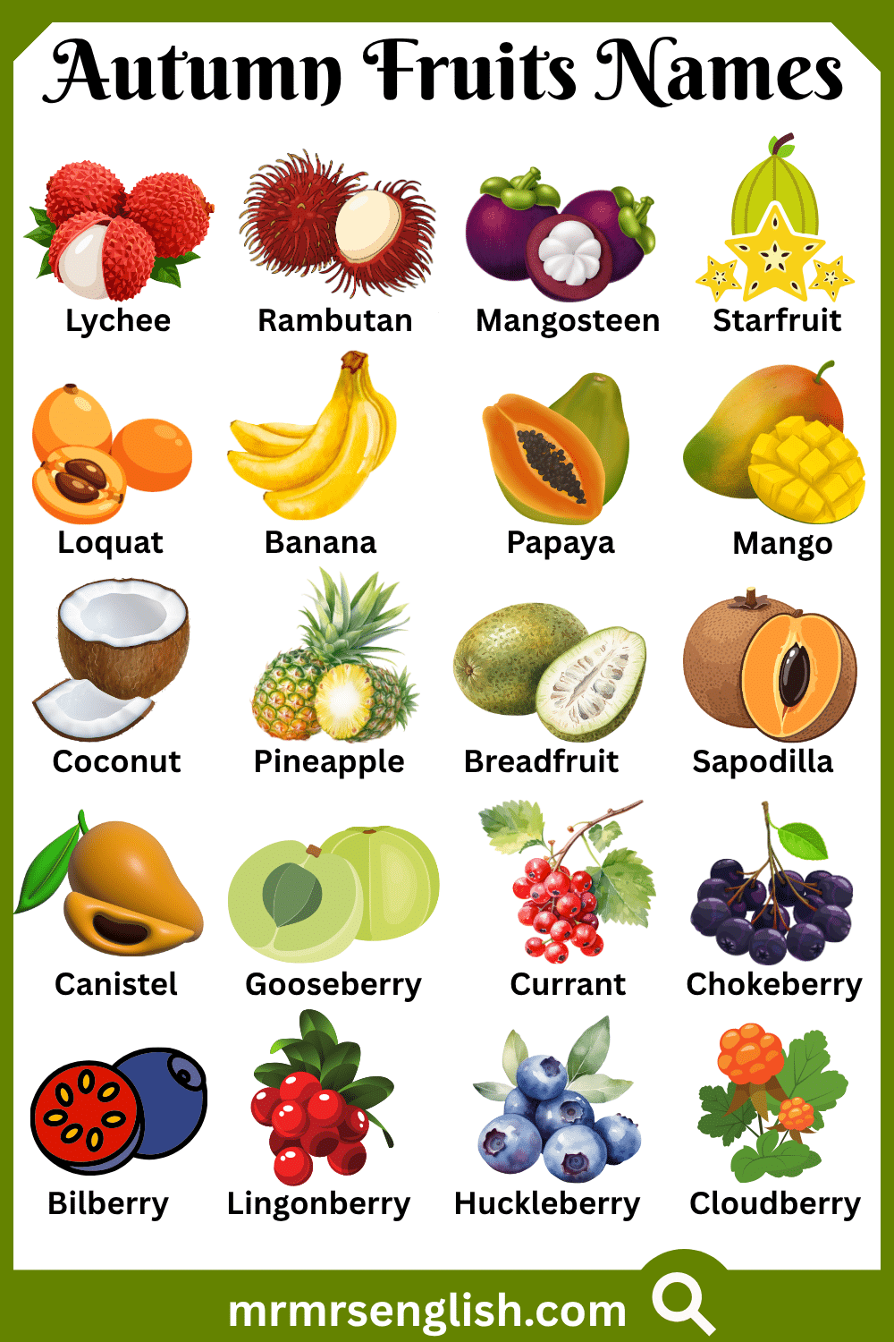 Different Names of Autumn Fruits with Pictures
