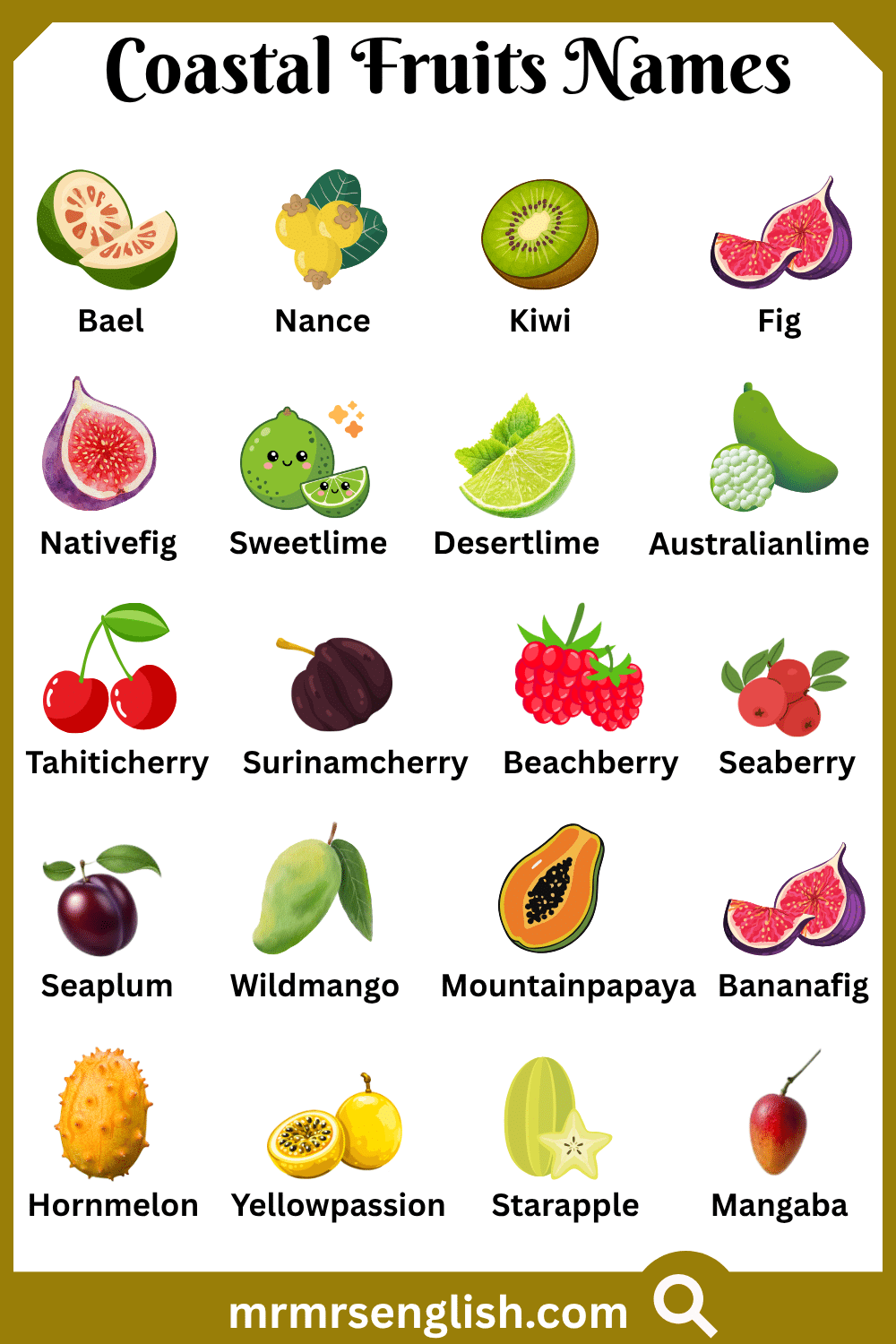 Different Names of Coastal Fruits with Pictures