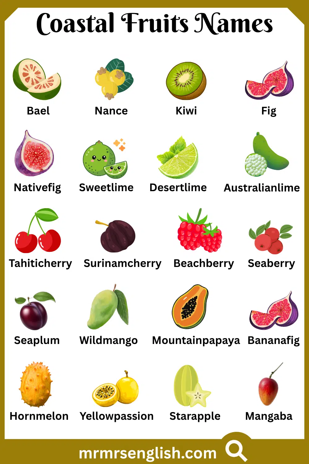 Different Names of Coastal Fruits with Pictures