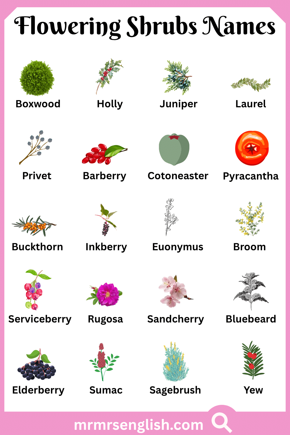 Different Names of Flowering Shrubs with Pictures
