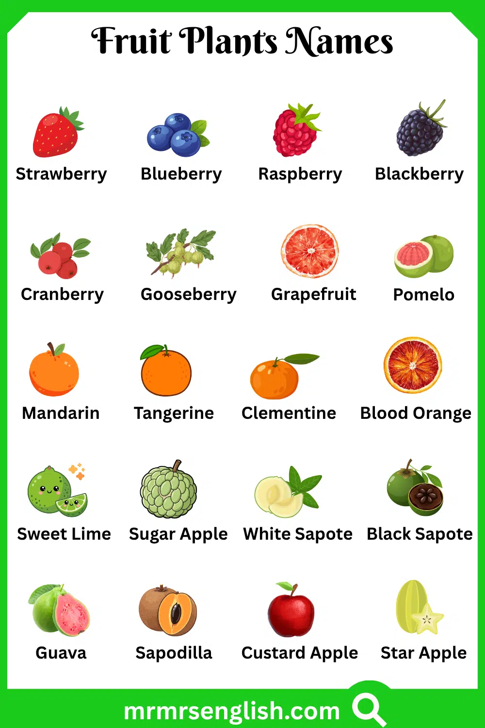 Different Names of Fruit Plants with Pictures