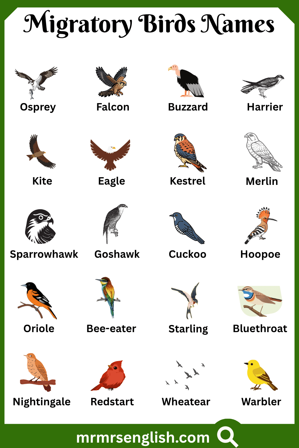Different Names of Migratory Birds with Pictures