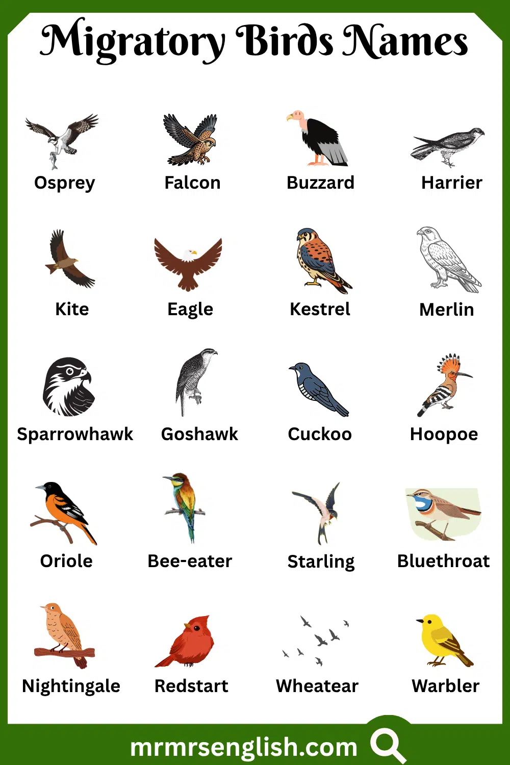 Different Names of Migratory Birds with Pictures