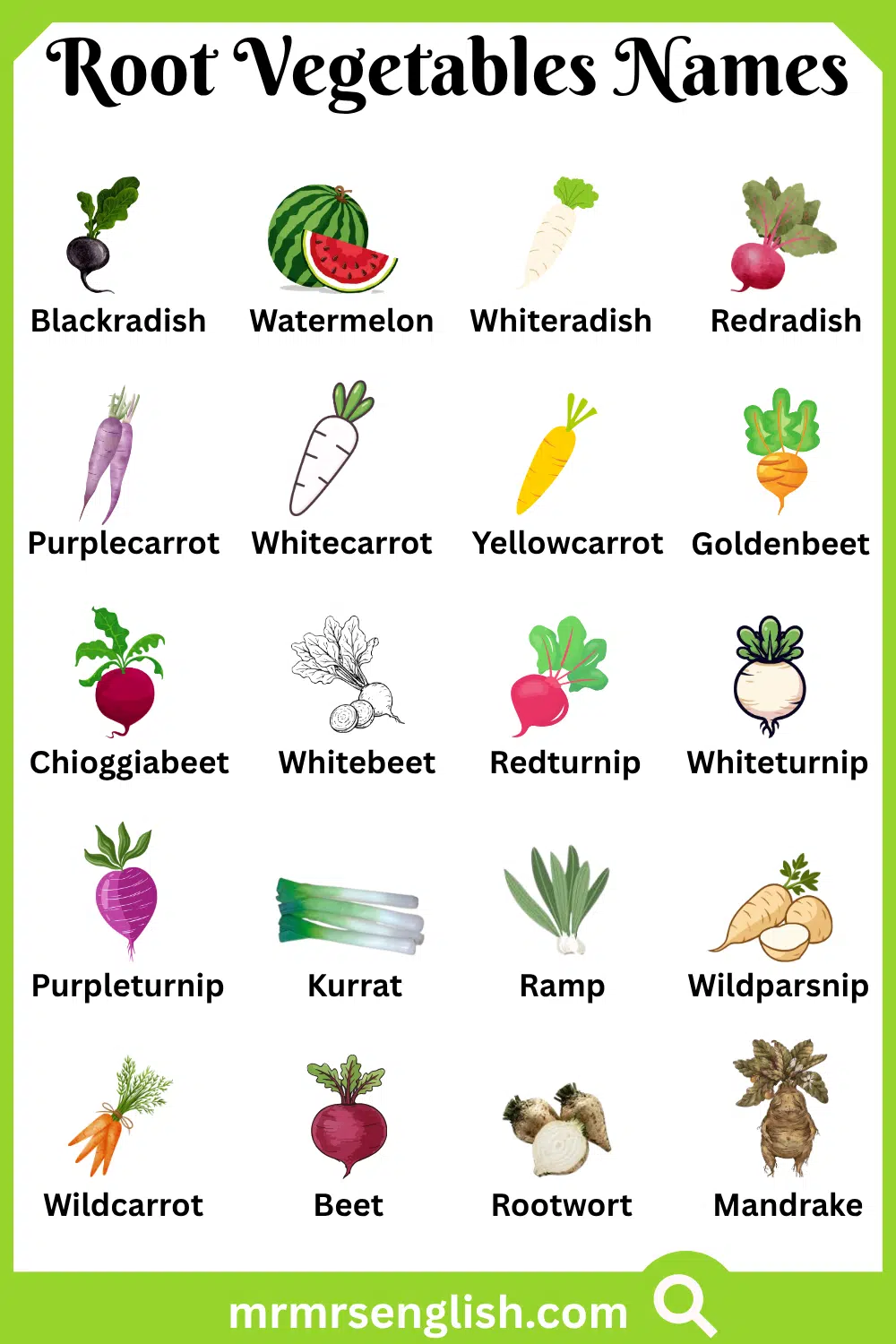 Different Names of Root Vegetables with Pictures