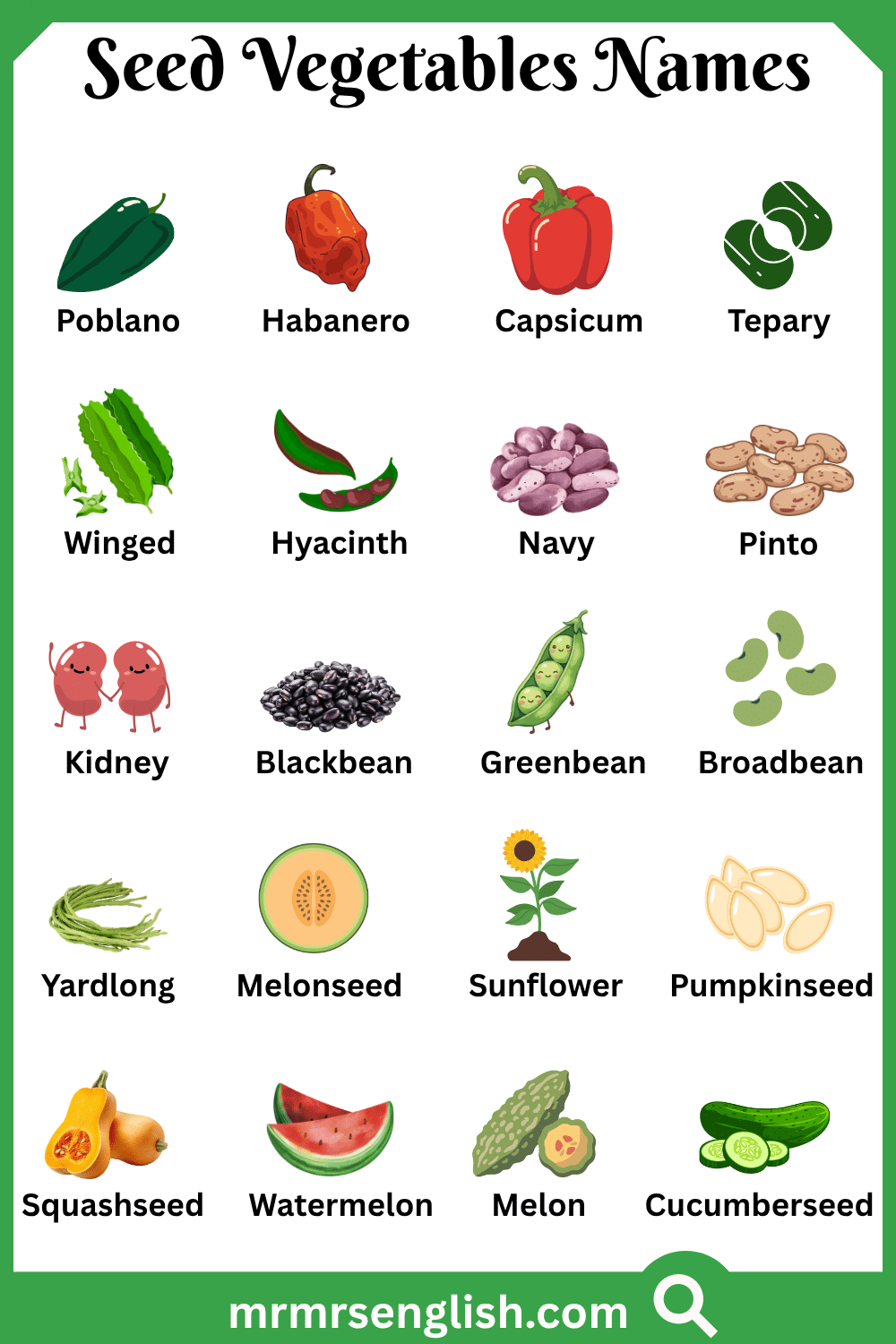 Different Names of Seed Vegetables with Pictures