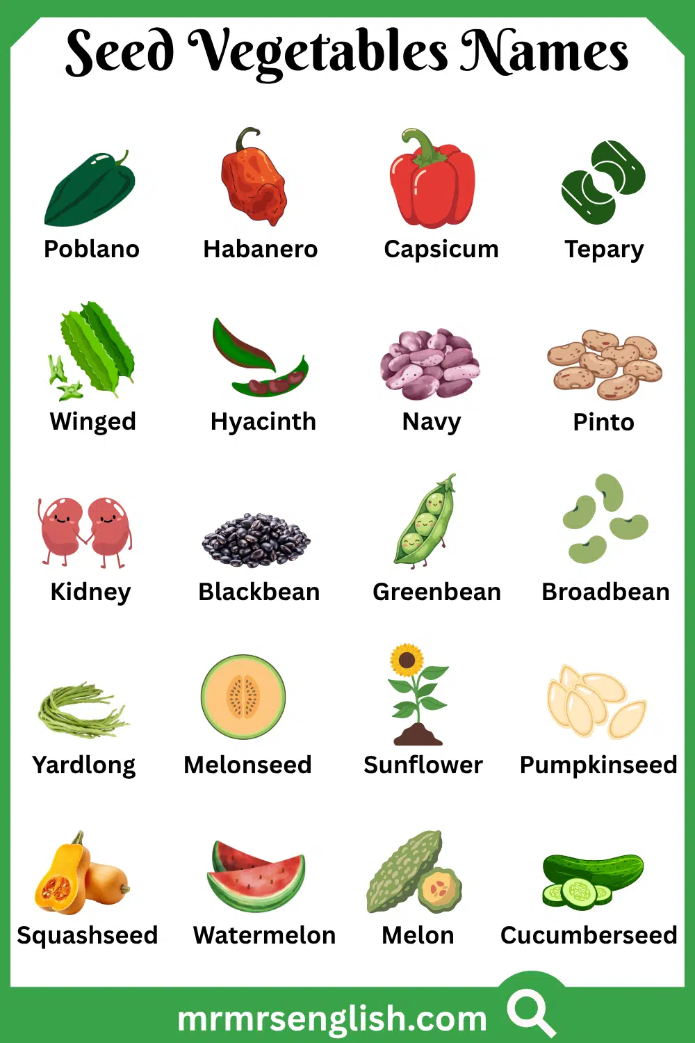 Different Names of Seed Vegetables with Pictures