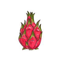 Dragonfruit