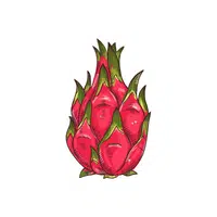 Dragonfruit