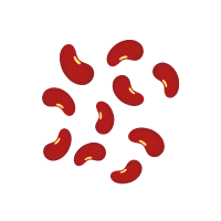 Drybean