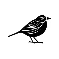 Dunnock