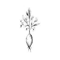 Earthnut