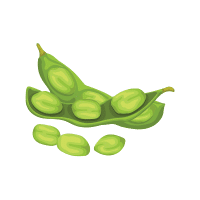 Edamame