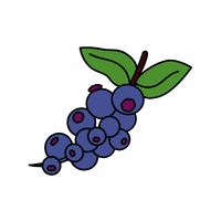 Dragonfruit