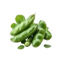 Fava