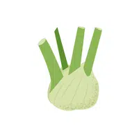 Fennel