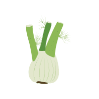 Fennel
