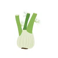Fennel