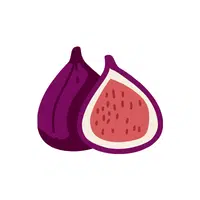 Fig