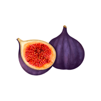 Fig