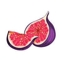 Fig