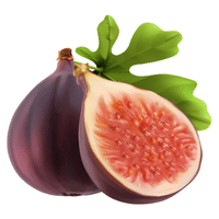 Fig