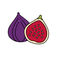 Fig