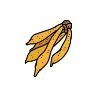 Fingerroot