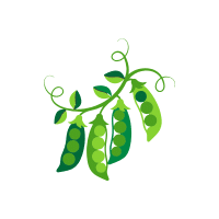 Gardenpea
