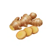 Ginger