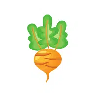 Goldenbeet