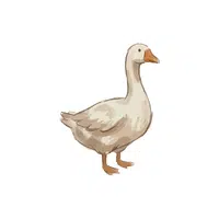 Goose