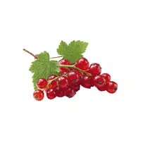 Gooseberry