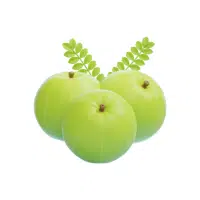 Gooseberry | Mountain Fruits Names