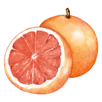 Grapefruit